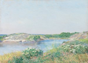 Mały Staw, Appledore, 1890.