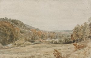 Rzeka Tamar, niedaleko Endsleigh, Devon