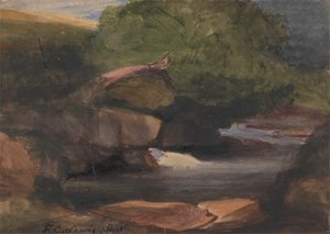 Árvores e um Rocky Streampolish