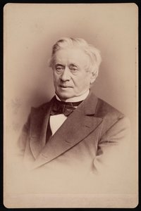 Portret Józefa Henryka 1797-1878, 1876.