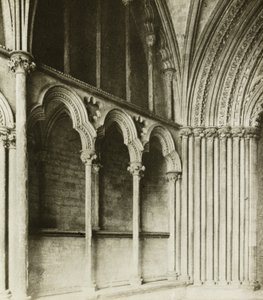 Katedra w Ely: Ganek Galileusza, szczegóły