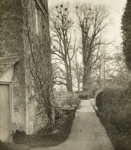 Kelmscott Manor: W ogrodzie autorstwa Frederick H. Evans