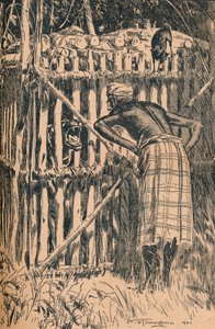 Ilustracja do bajek Skeata i opowieści ludowych ze wschodniego lasu, 1901 r.