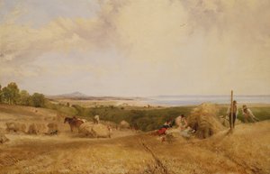 Pole żniwne, 1846 r.