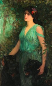 Czarna orchidea, 1907.