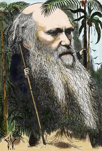 Charles DARWIN (1809-1882) karykatura F. Waddy w „” raz w tygodniu” z 1873 roku.