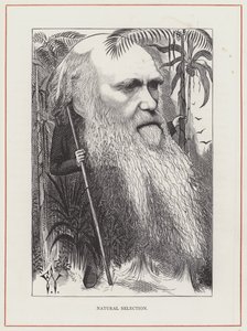 Karol Darwin, Dobór Naturalny
