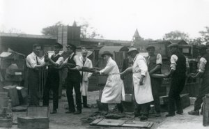 Pyton o długości 20 stóp niesiony przez jedenastu członków personelu Towarzystwa Zoologicznego, londyńskie zoo, czerwiec 1925 r autorstwa Frederick William Bond