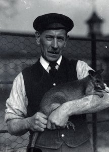 Stróż trzyma wallaby, październik 1920 (zdjęcie czarno-białe) autorstwa Frederick William Bond