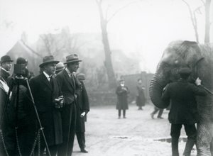 Słoń indyjski, prawdopodobnie Sundermalah, biorący udział w zewnętrznej transmisji z londyńskiego zoo, 1925 autorstwa Frederick William Bond
