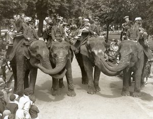 Przejażdżki na słoniach w londyńskim zoo, lipiec 1936 autorstwa Frederick William Bond