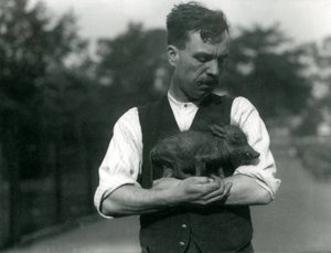 Strażnik Harry Warwick kołysze małego Guziec w ramionach w londyńskim zoo, sierpień 1922 r. autorstwa Frederick William Bond