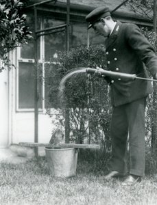 Opiekun Thomas Raggetta pod prysznicem Tawny Frogmouth, Londyńskie Zoo, 1924 autorstwa Frederick William Bond