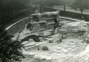 Monkey Hill” widziany ze szczytu tarasów Mappin, londyńskie zoo autorstwa Frederick William Bond