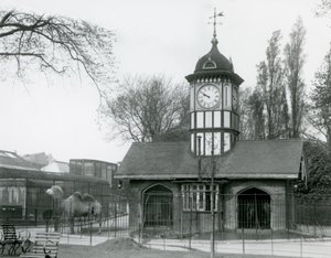 Dom Wielbłądów. londyńskie zoo autorstwa Frederick William Bond