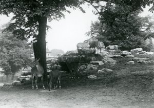 ElandAntelope Paddock w londyńskim zoo w 1924 r autorstwa Frederick William Bond