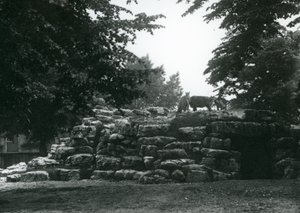 Paddock ElandAntelope w londyńskim zoo w czerwcu 1924 r. autorstwa Frederick William Bond