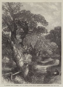 A Country Lane w Surrey