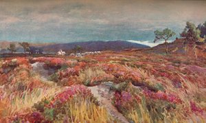 O katedrze Heath Lytchett, ok. 1904 r.