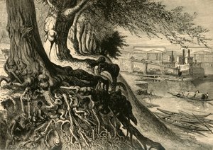 „Sawanna w Augusta”, 1872.