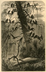 „Czekając na rozkład”, 1872.