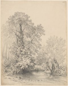 Drzewa nad rzeką na zamku Bromwich autorstwa Frederick William Watts