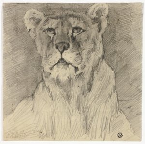 Widok z przodu siedzącej lwicy autorstwa Frederik William Zurcher