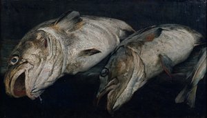 Dorsz