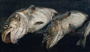 Dorsz autorstwa Fredrik Kolstoe