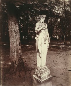 Wersal-Faun autorstwa Eugène Atget