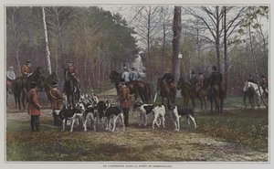 Skrzyżowanie w Foret de Rambouillet, Francja (kolorowe zdjęcie) autorstwa French Photographer