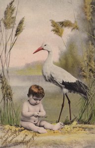 Dziecko z bocianem autorstwa French Photographer