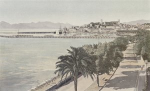 Cannes, Port i Stare Miasto, Boulevard de la Croisette autorstwa French Photographer
