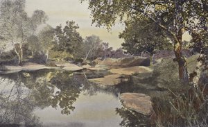 Fontainebleau, Las, Klacz de Franchard autorstwa French Photographer