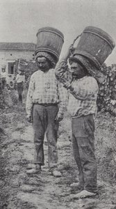 Zbieracze winogron w pracy (zdjęcie czarno-białe) autorstwa French Photographer