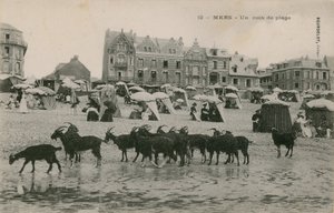 Mers - część plaży. Pocztówka wysłana w 1913 roku. autorstwa French Photographer