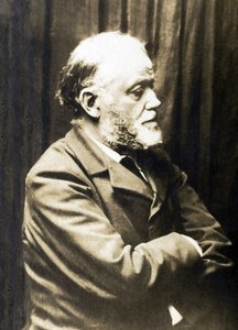 Portret Henri Fantin Latour (Fantin-Latour autorstwa French Photographer