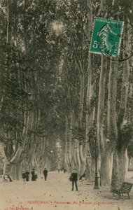 Promenade des Platanes w Perpignan. Pocztówka wysłana w 1913 roku. autorstwa French Photographer