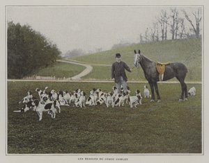 Beagle hrabiego Cowleya (zdjęcie kolorowe) autorstwa French Photographer