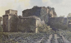 Tiffauges, Ruiny zamku, Widok z dziedzińca autorstwa French Photographer
