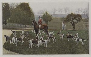 Tom Firr i psy z Quorn Hunt, Leicestershire (kolorowe zdjęcie) autorstwa French Photographer