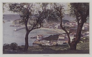 Widok na Niceę (kolorowe zdjęcie) autorstwa French Photographer