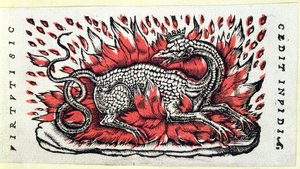 Salamandra, 1. poł. XVI w. autorstwa French School