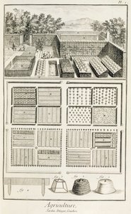 Ogród warzywny, z The Encyclopedia of Science, Art and Engineering Denisa Diderota (1713-84), c.1770 autorstwa French School