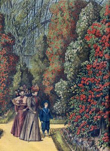 Ogród aklimatyzacyjny - la serre des camelias - szklarnia kamelii w ogrodzie botanicznym autorstwa French School