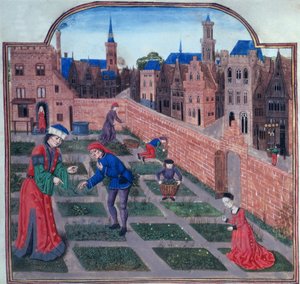 Dodaj 19720 fol.165 Otoczony murem ogród ziołowy w mieście, z Livre des profits ruraux autorstwa Piero de Crescenzi z Bolonii (1230-1320/1) koniec XV wieku (welum) autorstwa French School