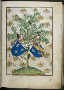 Dodaj Ms 18850 f.15r Strona herbarza, z Book of Hours (The Bedford Hours) c.1410-30 (tusz, kolor i złoto na welinie) autorstwa French School