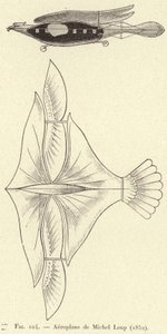 Samolot de Michel Loup (1852) (grawerowanie) autorstwa French School