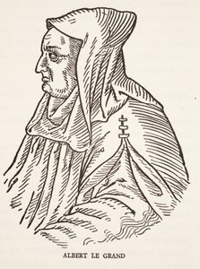 Albert Wielki autorstwa French School