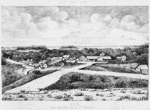 Album Isle of Pines, Uro, 1878-79 autorstwa French School